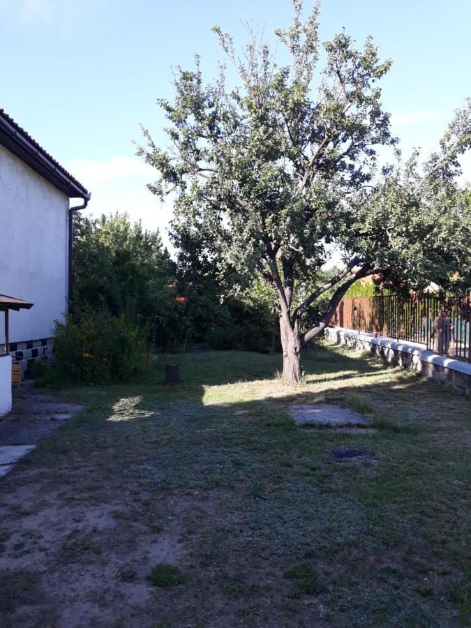 Retrovilla Balatonkenese Buitenkant foto